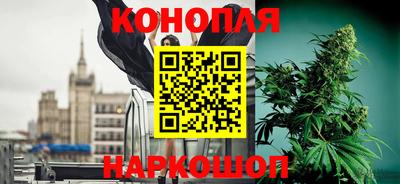 сатива Моздок