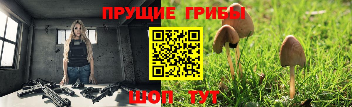 Галлюциногенные грибы Magic Shrooms  Псилоцибиновые грибы прущие грибы  Дубна  Вход с VPN 