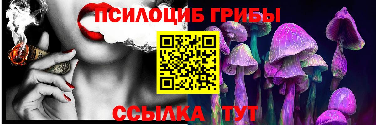 Псилоцибиновые грибы прущие грибы Дубна