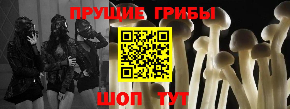 Галлюциногенные грибы мухоморы Дубна